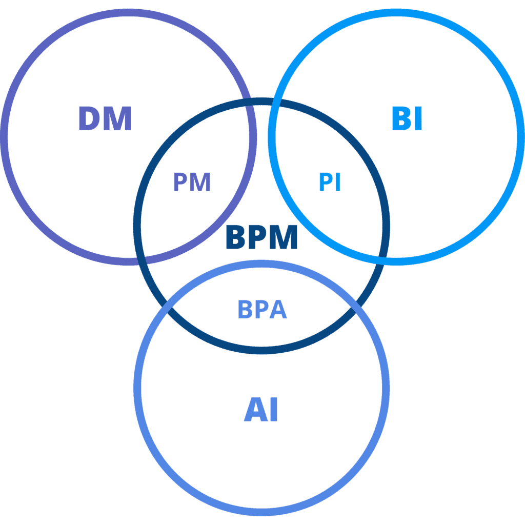 fields in business process management