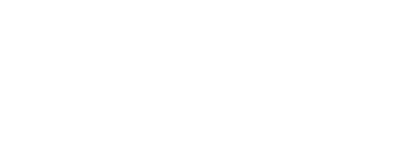 Aluflexpack logo negative